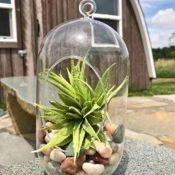 AKASHA Landscaping Rock 5-lb Indoor Decorative Rock -Landscaping Sales Shop 08250215