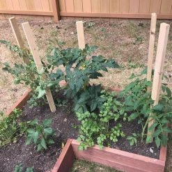 Thing Landscape Fabric & Stakes 12-Pack 12-in Wood Landscape Stake -Landscaping Sales Shop 08887964