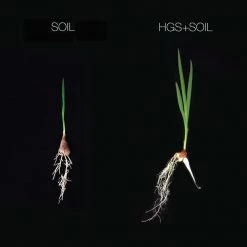 Harvest Gold Organics Soil & Soil Amendments Premium Soil Conditioner Organic Provides Organic Nutrients -Landscaping Sales Shop 12097049