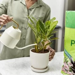 Miracle-Gro Soil & Soil Amendments Moisture Control Peat Moss Moisture Control -Landscaping Sales Shop 12190882