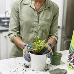 Miracle-Gro Soil & Soil Amendments Perlite Improves Soil Structure -Landscaping Sales Shop 12190890