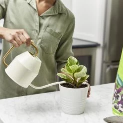 Miracle-Gro Soil & Soil Amendments Perlite Improves Soil Structure -Landscaping Sales Shop 12190891