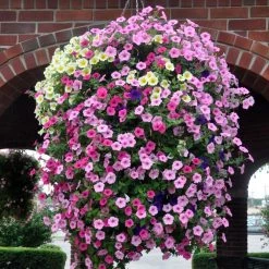 Soil Moist Soil & Soil Amendments Synthetic Polymer Moisture Control -Landscaping Sales Shop 15604160