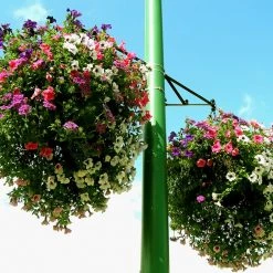 Soil Moist Soil & Soil Amendments Synthetic Polymer Moisture Control -Landscaping Sales Shop 15604161