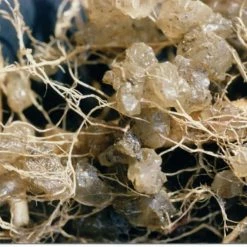 Soil Moist Soil & Soil Amendments Synthetic Polymer Moisture Control -Landscaping Sales Shop 15604162