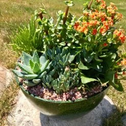 AKASHA Landscaping Rock 4-lb Indoor Decorative Rock -Landscaping Sales Shop 16989167