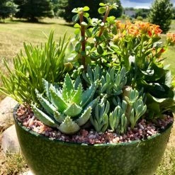 AKASHA Landscaping Rock 4-lb Indoor Decorative Rock -Landscaping Sales Shop 16989168