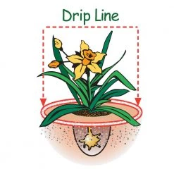 Espoma Soil & Soil Amendments Soil Acidifier Organic Ph Balancer -Landscaping Sales Shop 42665127