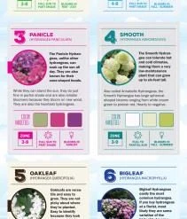 Espoma Soil & Soil Amendments Soil Acidifier Organic Ph Balancer -Landscaping Sales Shop 43201441