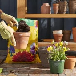 Miracle-Gro Soil & Soil Amendments Potting Mix Bundle 16-Quart Potting Soil Mix 7 Miracle-Gro Soil & Soil Amendments Potting Mix Bundle 16-Quart Potting Soil Mix -Landscaping Sales Shop 44004019