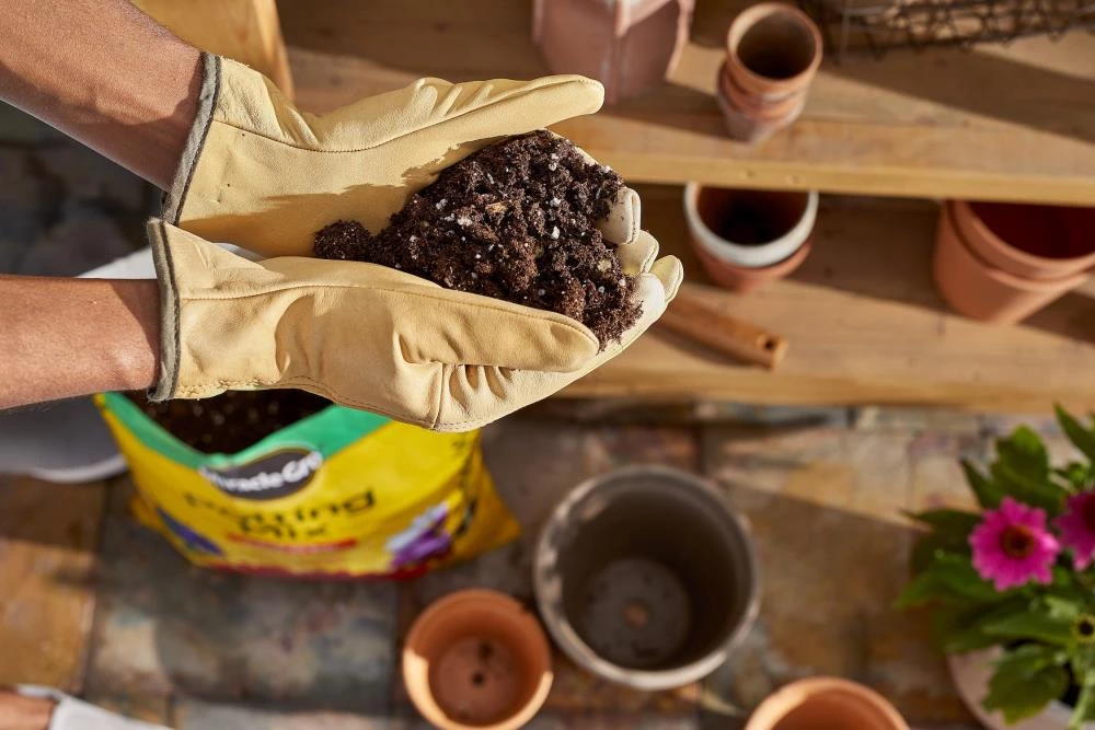 Miracle-Gro Soil & Soil Amendments Potting Mix Bundle 16-Quart Potting Soil Mix 4 Miracle-Gro Soil & Soil Amendments Potting Mix Bundle 16-Quart Potting Soil Mix - Image 4