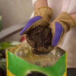 Miracle-Gro Soil & Soil Amendments Potting Mix Bundle 8-Quart Potting Soil Mix 14 Miracle-Gro Soil & Soil Amendments Potting Mix Bundle 8-Quart Potting Soil Mix -Landscaping Sales Shop 44004198