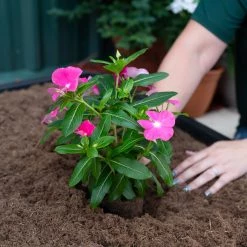 Sta-Green Soil & Soil Amendments Perfect 25-Quart Potting Soil Mix -Landscaping Sales Shop 45499182